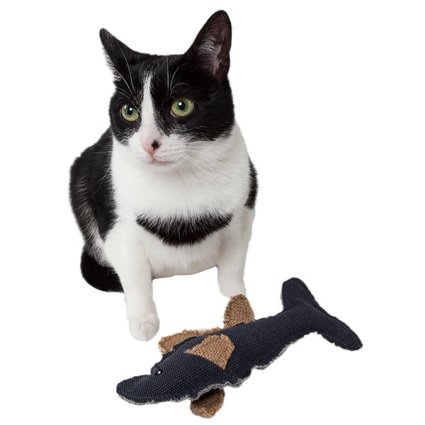 Pet Life ® Durable Fish Plush Kitty Catnip Cat Toy