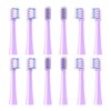 Replacement Toothbrush Heads Compatible with Colgate Hum Connected Smart Battery Toothbrush Refill Head, Purple, 12 Pack