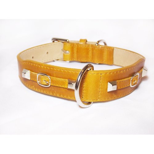 Balencioochee Tabbed Dog Collar, Buckles, Medium Size 11-14, Cumin with Silver Buckles