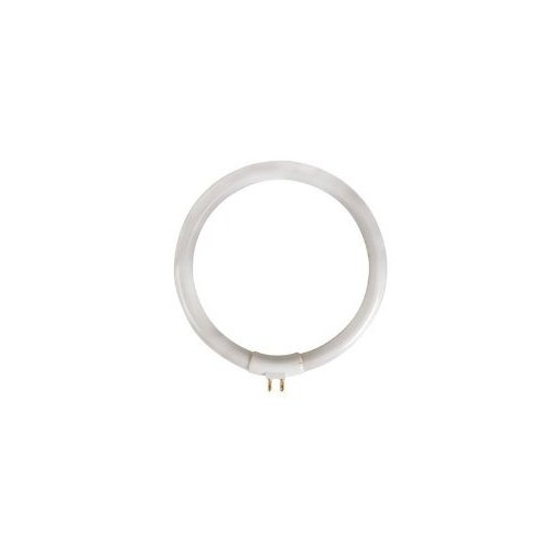Circular Fluorescent Tube Bulb 12W/T4 for Desk Lamp (VTLAMP10)