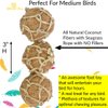 Bonka Bird Toys 1276 (Pk3) Coconut Fiber Balls 3", Parrot Foot Talon Chew Forage Cage Toy, Amazon, African Grey, Pionus, and Similar