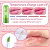 DWDiWen 4 Pcs Shiny Lip Gloss Set,Non-sticky Long Lasting Moisturizing Lip Glow Oil Makeup Set with 2 Aloe Vera Color Changing Lipsticks for Women,Tinted Lip Balm & Lip Plumping Lip Gloss Set