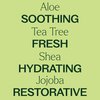 Plant Therapy Tea Tree Body Lotion with Aloe and Shea, Hydrate and Nourish Skin with Botanical Ingredients, 8 oz