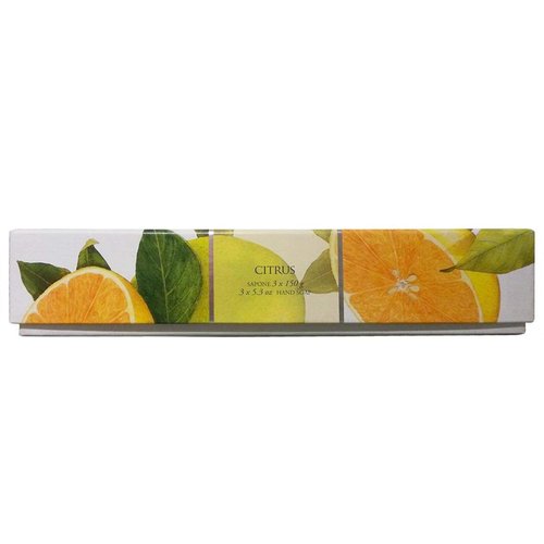 La Florentina: "Agrumi di Boboli" Bar Soaps, Citrus Scent, "Bellosguardo" Collection - Pack of 3 Soaps, 5.3 Ounces (150g) Each, Gift Box [ Italian Import ]