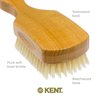 Kent OS11 Satinwood Military Club Hair Brush & Beard Brush – Soft White Boar Bristles for Fine or Thinning Hair, Men's Grooming, and Beard Care
