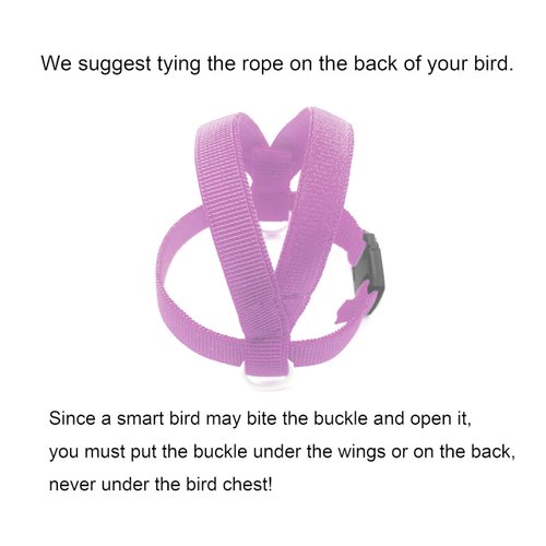 VANFAVORI Bird Harness with Buckle Clip and A Leash, Outdoor Flying Kit for Bird Parrots Cockatiel S Size Weight 85-105 Grams, Purple