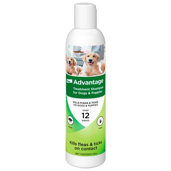 Advantage Dog Flea & Tick Shampoo for Puppies & Adult Dogs | Kills Fleas & Ticks | 12 oz.