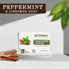 HERBOGANIC Peppermint and Cinnamon Herbal Soap | Natural Bar Soap for Face and Body | Invigorating and Warming | Infused with Peppermint and Cinnamon | 5 Oz (Pack of 1)…