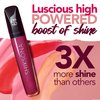 ShikSona High Shine Lip Gloss | Hydrating, Vegan, High Pigment, Non-Sticky Lipgloss in a Timeless, Universal Color | Executive Eye Candy (Plum)