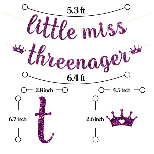 Maicaiffe Little Miss Threenager Banner - Girl's 3rd Birthday Party Decor - Three Years Old - Princess 3rd Birthday Party Decorations, Purple Glitter