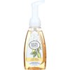 South Of France Foaming Hand Wash Lemon Verbena With Hydrating Organic Agave Nectarc 8 Oz