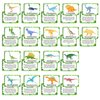 Reusable Dinosaur Cognition Flash Cards for Kids, 37PCS Cartoon Dinosaur Learning Flashcards Waterproof,Portable Double-Sided Educational Preschool Toddler Dinosaur Flash Card