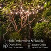 Brightech Ambience Pro Solar Powered LED Outdoor String Lights - 27 Ft Commercial Waterproof Patio Lights with Edison Bulbs - Durable String Lights for Outside, Backyard, Porch - 1W, Warm White