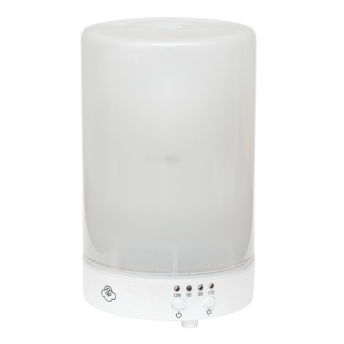 Elanze Designs A Mother's Love Bereavement Sentiment Frosted 8 Color LED Light Essential Oil Diffuser