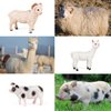 SIENON 12Pcs Farm Animal Figures Toys Realistic Plastic Farm Animal Figurines, Farm Animals Playset Educational Learning Toy Set, Farm Animal Cake Topper for Jungle Farm Theme Birthday Christmas Party