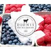 Dionis - Goat Milk Skincare Sweet Berry Scented Lip Balm (0.28 oz) - Made in the USA - Cruelty-free and Paraben-free