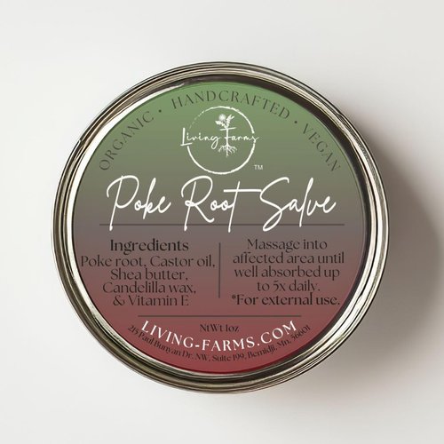Poke Root & Castor Oil Salve -1oz- Cysts, Boils, Fibroids, Swollen Lymph Nodes, Breast & Joint - Vegan Lymphatic Support Massage Balm - Natural Deep Tissue Ointment