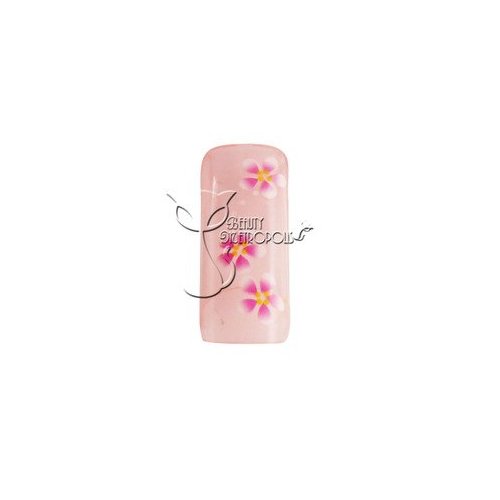 Pink Floral Pre-designed Acrylic/UV Gel Artificial/False French Nail Tips (70 pcs.)