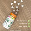 Fergon Iron Restore Chewable Tablets - Gentle on Stomach, Non-Constipating - 27mg Iron for Energy Support – 60 Tablets