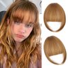 AISI BEAUTY Clip in Bangs-Fake Bangs Hair Clip 100% Real Human Hair Bangs French Bangs Fringe with Temples Flat Neat Fake Thick Hair Pieces for Women Use(Light Brown)