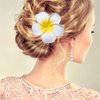 Flower Hair Clips Plumeria Hawaiian Hawaii Hair Clip Set Floral Barrettes Women Tropical Foam Wedding Vacation Beach Party Decorations Cosplay Costume Handmade Hair Accessories Plumeria White 12 Pack