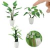 iLAND Dollhouse Accessories of Miniature Plants, Mini Dollhouse Plants DIY Kits 1/12 Scale Accessories DIY Projects