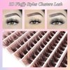 3D Fluffy Lash Extension Kit D Curl Lash Clusters WHYBRAW Eyelash Extension Kit with 7 Days Long Lasting Bond Lash Bond and Seal 120 Pcs Natural Individual Lashes Kit with Cluster Lash Tweezers