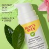 Burt's Bees Green Tea Face Serum, Protects & Improves Skin Tone with Antioxidant Rich Green Tea & Lotus, Naturally Brightening & Firming, Lightweight - Antioxidant Booster Serum (1 oz)