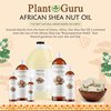 African Shea Nut Butter Oil 4 fl. oz. 100% Pure Natural Skin, Face, Hair Growth And Moisturizer. DIY Body Butters, Lotions, Creams, Lip Balm And Soap Making.