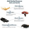 Hair Color Shampoo for Men and Women, 3 in 1 Black Hair Dye, 16.9 Floz, Safe and Natural Para Canas