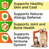 StrellaLab 32 OZ Salmon Oil for Dogs - Omega 3 Fish Oil for Dogs & Cats, Itch & Allergy Relief, Wild Alaskan Salmon Oil Dogs Skin & Coat, Dog Fish Oil Liquid, Shedding Supplement EPA & DHA Fatty Acids