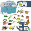 Life Cycle Learning Toys for Kids: Life Science Education Kits with Butterfly, Frog, Chicken, Mantis, Bee, Plants - 25 Pieces Animal Figurines Montessori Toys for Children Age 3 4 5 6 7 8+