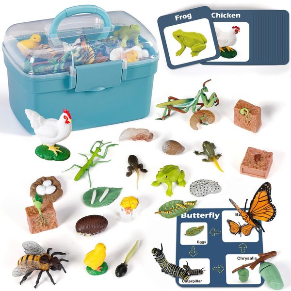 Life Cycle Learning Toys for Kids: Life Science Education Kits with Butterfly, Frog, Chicken, Mantis, Bee, Plants - 25 Pieces Animal Figurines Montessori Toys for Children Age 3 4 5 6 7 8+