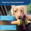 PetSafe Busy Buddy Jack - Treat Holding Dog Chew Toys - Helps Clean Teeth - Vanilla Scented Rubber for Strong Chewers - Treat Refills Included, Interactive Dog Toy Helps Keep Dogs Busy, Purple, Medium
