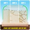 Ant Farm Kit for Kids - Ants Farms Colony - Includes Ant Voucher - Sand Habitat Kits - Bug Terrarium House - Educational Science Gifts for Kids - Nature Learning Toys for Boys, Girls & Adults