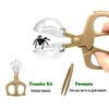 Bug Catcher Kit, Bug Collection Kit, Outdoor Nature Explorer Kit with Stickers, Tweezers, Science Educational Kit, Bug Observation Container for Boys and Girls(Gold)