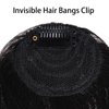 Ishua Clip in Bangs, Real Human Hair Bangs Hairpieces Wig, Bangs Hair Clips for Women (Medium Brown)