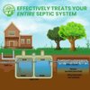 Down John (Once-A-Year) Septic Tank Treatment | 1 Year Supply | 3-Part Concentrate Live Bacteria, Carbon & Enzyme Treatment | Odor Neutralizer | Cleans Septic Lines & Improves Drain Field Absorption