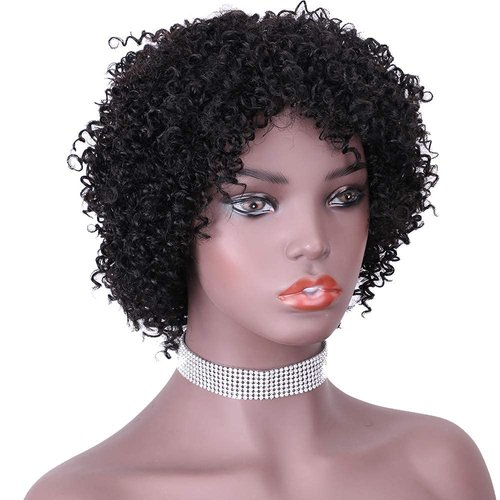 REYNA Short Pixie Cut Afro Kinky Curly Short Jerry Curly No Lace Glueless Brazilian Virgin Human Hair Wigs for Black Women