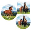 Horse and Pony Birthday Party Supply Pack! Bundle Includes Paper Plates and Napkins for 8 Guests