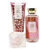 Bath & Body Works Triple Berry Martini - Duo Gift Set - Body Cream and Shower Gel With a Himalayan Salts Springs Soap.
