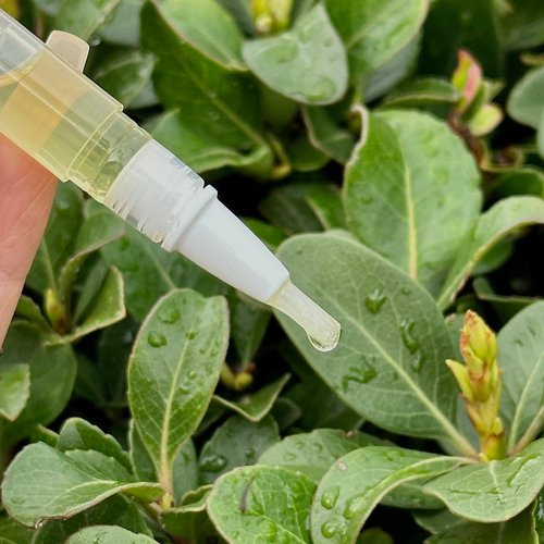 Twinkled T Nail Honey - Organic Nail Strengthening Treatment for Growth, Strength, & Moisture Nail Care Blend Cuticle Oil (Pen)