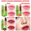 evpct 3Pcs Aloe Vera Strawberry Black Red Cherry Lip Balm Color Changing Lipstick Set PH Mood Magic Lipstick 24 hours original Color Changing Long Lasting waterproof labiales magicos pintalabios