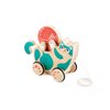 Hape Wooden Walk-A-Long Kitten Pull Toy| Roll & Rattle Push Pull Toy for Toddler| Montessori Toys for Walking Toddlers, Green