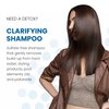 ALOXXI Clarifying Shampoo for Color Treated Hair - Removes Residue and Build-Up from Hard Water - Sulfate & Paraben Free Shampoo - Detox Shampoo for Deep Cleansing, 10.1 Fl Oz