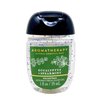 Bath & Body Works Aromatherapy Eucalyptus Spearmint - 3 Pack - Hand Soap, Hand Cream and Hand Gel with a Natural Oats Sample Soap.