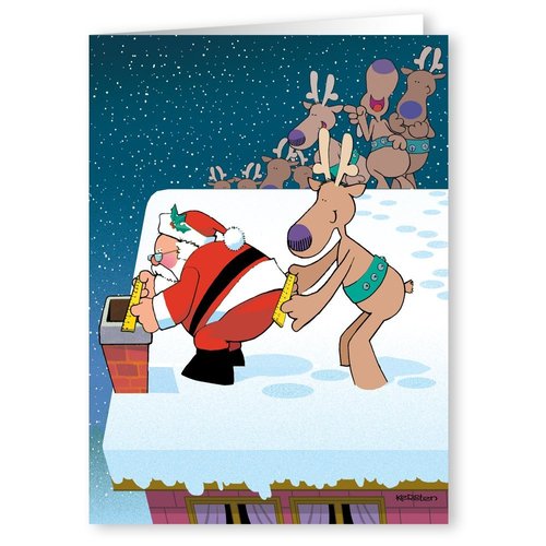 Stonehouse Collection - Christmas Cards Boxed with Envelopes, Funny Christmas Cards, Happy Holidays Cards, Funny Santa Holiday Greeting Card, Boxed Christmas Cards - Set of 18