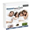 Mattress Protector Full Size Waterproof Mattress Cover Soft Breathable Noiseless Bed Cover Deep Pocket for 6-15" Pad - Machine Washable Vinyl Free (1 Pack)