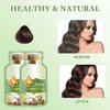 DyKay Natural Plant Hair Dye, 30ml 10Packs/Box, Chestnut Brown (Cream, Semi-Permanent, Normal Hair, Box, 6.76 Fl Oz, Natural)