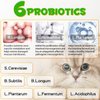 Cat Constipation Treatment, Cat Probiotic Supplements, Constipation Relief for Cats, Promotes Digestive Health, Improve Immunity, Vitamins for Cats with 6 Probiotics 60ml